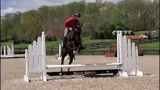 Johnny Walker @ Beverly Equestrian *** Training at The Frame Sport Horses