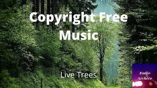 Copyright Free Music | Live Trees | Audio Archive