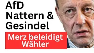 Merz beleidigt AfD-W&auml;hler als Nattern und Gesindel