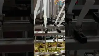 Fully Automatic Double-Row Magnetic Pump Filler: High-Speed Liquid Packaging for Pharma & Cosmetic