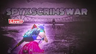 SPYREX WAR SCRIMS | WEEK 12 DAY 05 | PANDAGIRL YT IS LIVE
