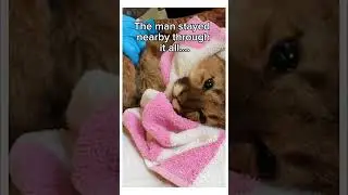 Wait for it wholesome animal 1080p#animal #cuteanimals #naturecrew #animals #rescue #wildlife