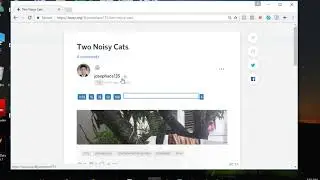 Steemplus: Tip button found below the username when reading posts in busy