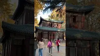 Какой же Китай красивый!🥺❤️ #shorts #studyinchina #учебавкитае #китай