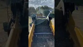 Anaconda DF410 Screener screening glass on Cape Cod