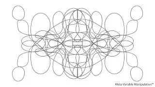 Meta-Variable Manipulation™