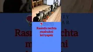 Mantiqiy savollar: #mantiqiysavollar #brainup #puzzles #qiziqarli #savollar #topishmoqlar
