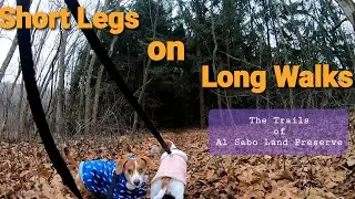 Hiking The Trails of Al Sabo Land Preserve, Kalamazoo Michigan