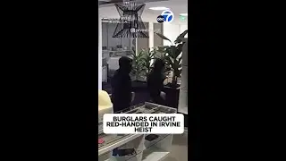 2 suspects caught red-handed during Irvine luxury handbag burglary