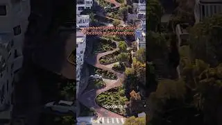 The crookedest street in the world: Lombard street,San Francisco #sanfrancisco #bayarea #attraction