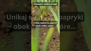 #29 OGRODOWE CIEKAWOSTKI