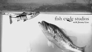 Swimbait SCIENCE: how to see fish FOOTPRINTS