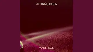 Летний дождь