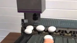 Nuovo Egg Stamper - Easy Stamp SOR1 on Mobanette