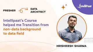 🎯 From Fresher to Data Architect &ndash; How Intellipaat Helped Me Enter the Data Field!