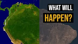If We Lose The Amazon…