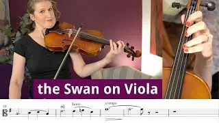 The Swan on Viola play along (1 hour progress)
