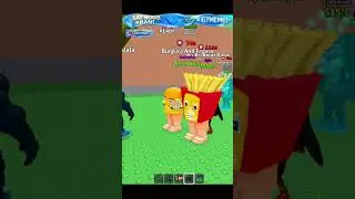 playing Roblox with view 0
