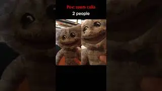 POV zoom calls #povs #zoomcalls