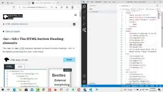 Marquee in HTML | Art Of Webdesign
