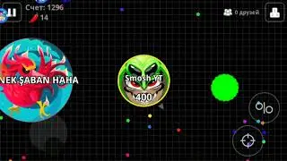 I bot