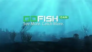 GO FISH CAM ПОДВОДНАЯ УЛИЦА