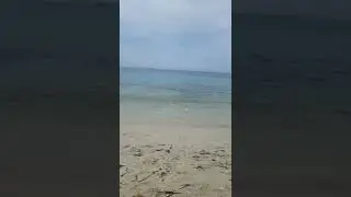 Calamosca Spiaggia, Cagliari