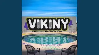 Vikiny (Remix)