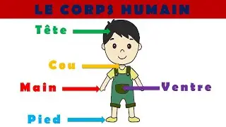 Apprendre le corps humain 4K UHD