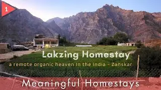 A Peaceful Village Homestay with Organic Farming in Nerak, Zanskar Valley - Ladakh