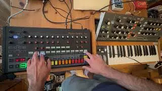Behringer Poly D & RD 8
