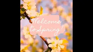 Happy Spring!