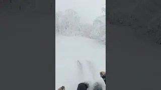Was this my best skiing day of 2025? #pov #gopro #montsutton #powday #skitheeast