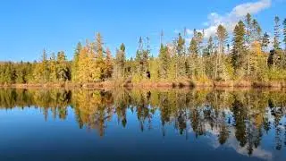 Mud Pond