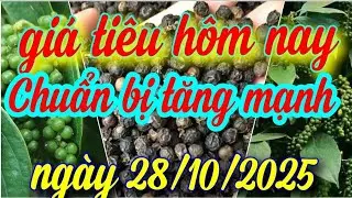 gi&aacute; ti&ecirc;u h&ocirc;m nay ng&agrave;y 28/10/2025