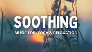 Soothing Healing Meditation Music with Nature Scenes for Stress Relief | ZenSound Studio