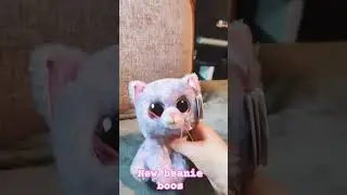 i finally got new beanie boos lol