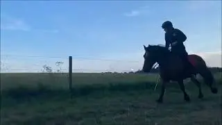 Robert Vince   Horse Rider
