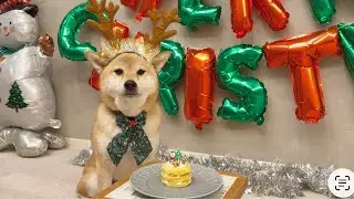 クリスマスパーティーライブ🥳🎄❤️