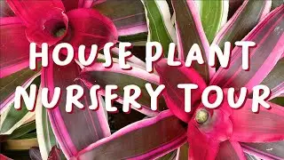 Most Colorful Plant Nursery Tour EVER | LOCAL PLANT SHOPPING 😍