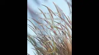 Se sentir d&eacute;stabilis&eacute;, entre deux-mondes &hellip;