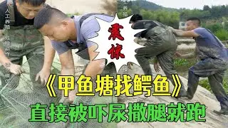 甲魚塘裏找丟失的鳄魚，直接被嚇尿撒腿就跑#小飛哥#三農 #護外 #新農人計劃2026 #我要上熱門