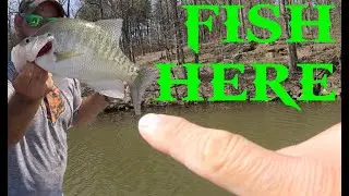 Crappie Spawn where to fish