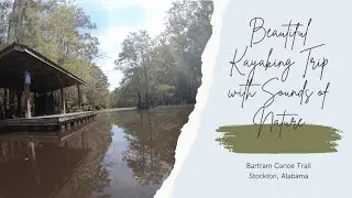 Beautiful Kayak Trip with Sounds of Nature (NO TALKING) ASMR, Relax and Enjoy the Ride!