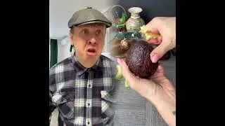 🤣👌👌👌2026 pov Must-Watch Crazy Clips Compilation #humor #fypシ #pov #fyp #foryou 😍😜 
