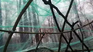 Shrink wrap shelter