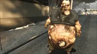 Left 4 Dead 2: All Special Infected Spawn Music (bacteria folder)