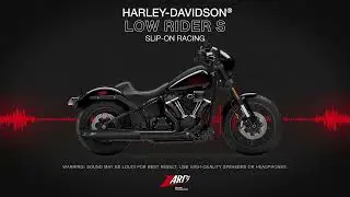 Zard for Harley Davidson Low Rider S | Sound Slip-on Racing