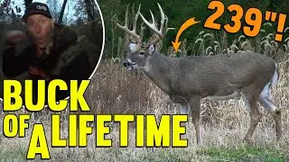 Unbelievable Buck of a LIFETIME! 239