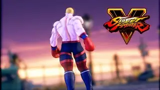 SFV- Mayor Boxer